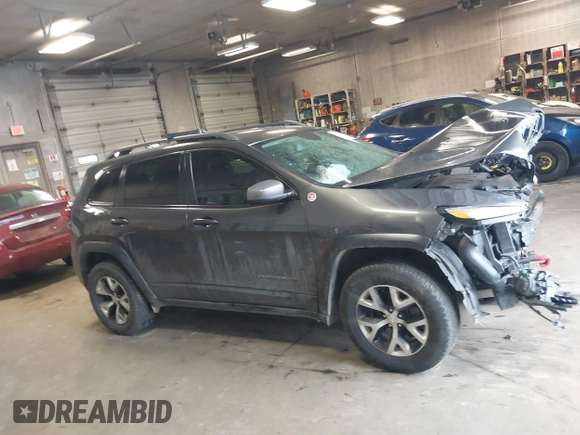 2016 Jeep Cherokee Trailhawk with VIN 1C4PJMBS2GW309042, listed as a IAAI auction lot 41564925 with 125,436 mi miles. Bid and sale history available at carsss.com. Image 14.