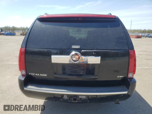 2007 Cadillac Escalade ESV with VIN 1GYFK66837R346919, listed as a Copart auction lot 53749735 with 228,706 mi miles and Clean Title. Bid and sale history available at carsss.com. Image 6.