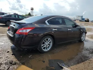 2011 Nissan Maxima SV with VIN 1N4AA5AP1BC836885, listed as a Copart auction lot 61853345 with 175,975 mi miles and Salvage title. Bid and sale history available at DreamBid. Image 3.