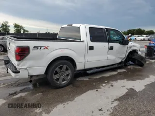 2014 Ford F-150 XL with VIN 1FTEW1CM3EFA86157, listed as a Copart auction lot 61084245 with 416,688 mi miles and Salvage title. Bid and sale history available at DreamBid. Image 3.