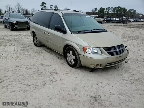2005 Dodge Caravan SXT with VIN 2D4GP44L95R182514, listed as a Copart auction lot 46191635 with 259,527 mi miles and Salvage Title. Bid and sale history available at carsss.com. Image 11.