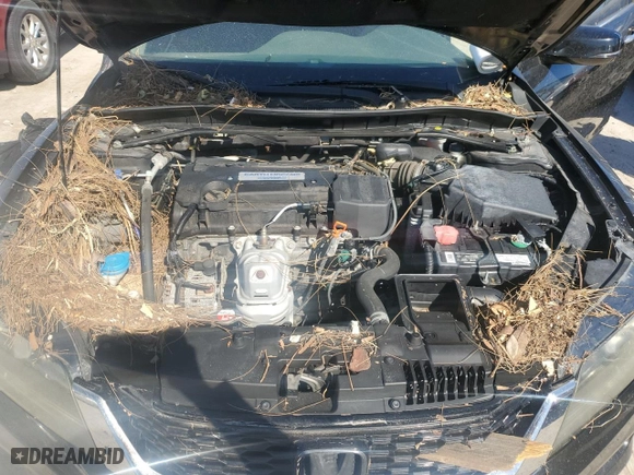 2015 Honda Accord Cpe EX with VIN 1HGCT1A72FA003606, listed as a Copart auction lot 75101974 with NaN miles and Non Repairable. Bid and sale history available at carsss.com. Image 11.