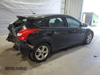 2013 Ford Focus SE with VIN 1FADP3K20DL257795, listed as a Copart auction lot 50737705 with 316,345 mi miles and Salvage Title. Bid and sale history available at DreamBid. Image 3.