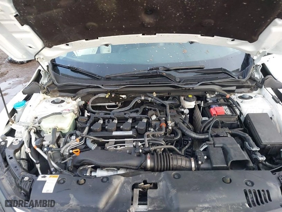 2019 Honda Civic Sedan EX-L with VIN 19XFC1F70KE018732, listed as a IAAI auction lot 41218403 with 35,280 mi miles. Bid and sale history available at carsss.com. Image 10.