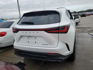 2023 Lexus NX 250 with VIN JTJADCAZ5P2006346, listed as a Copart auction lot 74574774 with Not provided miles and Salvage title. Bid and sale history available at DreamBid. Image 6.