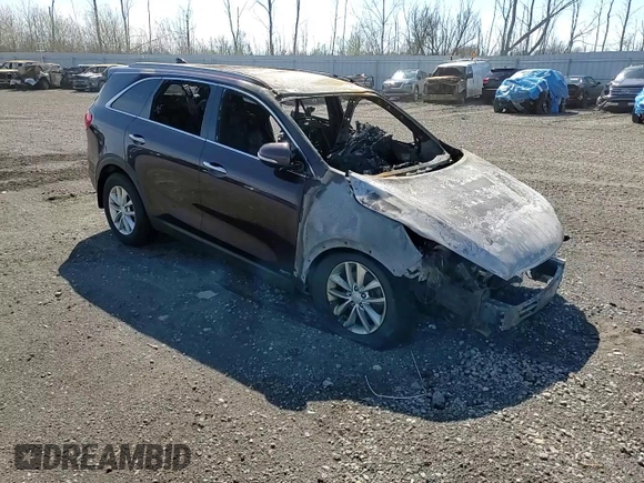 2016 Kia Sorento LX with VIN 5XYPGDA37GG058458, listed as a Copart auction lot 54210075 with Not Provided miles and Salvage Title. Bid and sale history available at DreamBid. Image 13.