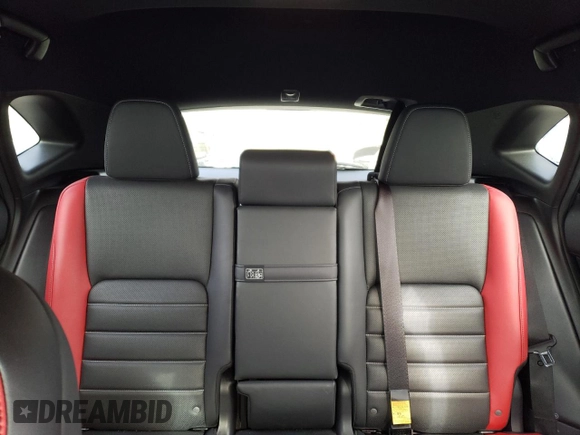 2020 Lexus NX with VIN JTJSARDZ6L2233325, listed as a Copart auction lot 48878575 with 0 mi miles and Salvage Title. Bid and sale history available at carsss.com. Image 10.