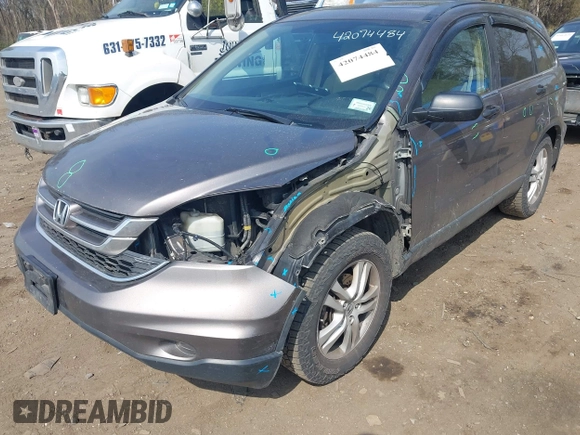 2010 Honda CR-V EX with VIN 5J6RE4H58AL074969, listed as a IAAI auction lot 42074484 with 285,697 mi miles. Bid and sale history available at carsss.com. Image 6.