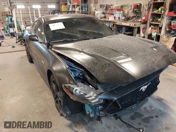 2023 Ford Mustang GT with VIN 1FA6P8CF8P5305334, listed as a IAAI auction lot 41858115 with 23,574 mi miles and . Bid and sale history available at DreamBid. Image 1.
