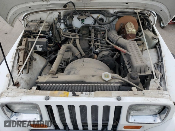 1994 Jeep Wrangler S with VIN 1J4FY19P1RP419577, listed as a Copart auction lot 76178554 with 143,299 mi miles and Clean Title. Bid and sale history available at carsss.com. Image 11.