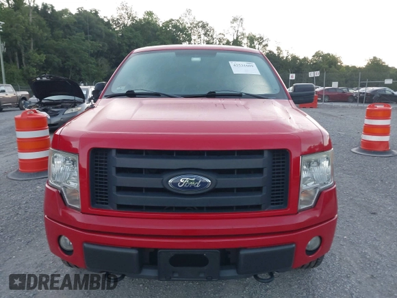 2010 Ford F-150 XL with VIN 1FTEX1E87AFD47474, listed as a IAAI auction lot 42531609 with 173,119 mi miles and . Bid and sale history available at DreamBid. Image 12.