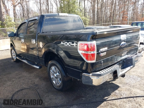 2009 Ford F-150 XL with VIN 1FTRW14829FB12059, listed as a IAAI auction lot 41686110 with 247,892 mi miles and . Bid and sale history available at DreamBid. Image 3.