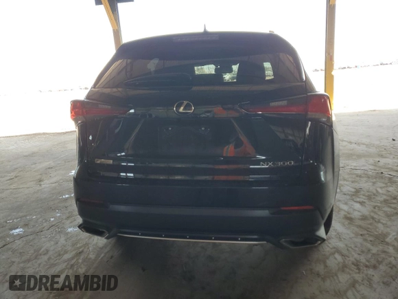2019 Lexus NX with VIN JTJYARBZXK2119310, listed as a Copart auction lot 47755005 with 200,096 mi miles and Salvage Title. Bid and sale history available at carsss.com. Image 6.