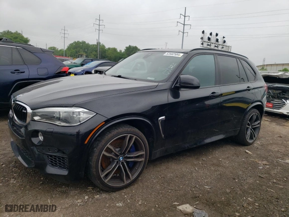 2016 BMW X5 M with VIN 5YMKT6C53G0R78343, listed as a Copart auction lot 53502584 with 123,914 mi miles. Bid and sale history available at carsss.com. Image 1.