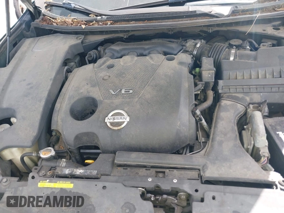 2009 Nissan Maxima SV с VIN 1N4AA51E49C844200, выставлен на аукционе IAAI как лот 42361496 с пробегом 177 970 миль миль и . История ставок и продаж доступна на DreamBid. Изображение 10.