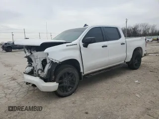 2023 Chevrolet Silverado 1500 Custom with VIN 3GCPDBEK2PG111289, listed as a Copart auction lot 48007395 with Not Provided miles and Non Repairable. Bid and sale history available at DreamBid. Image 1.
