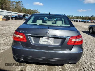 2010 Mercedes-Benz E 550 Luxury with VIN WDDHF7CB4AA213798, listed as a Copart auction lot 81071164 with 287,072 mi miles and Salvage Title. Bid and sale history available at DreamBid. Image 6.