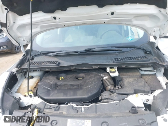 2014 Ford Escape SE with VIN 1FMCU9G99EUC81141, listed as a IAAI auction lot 42436279 with 123,947 mi miles and . Bid and sale history available at DreamBid. Image 10.
