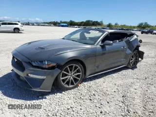 2019 Ford Mustang EcoBoost with VIN 1FATP8UH1K5135944, listed as a Copart auction lot 49813045 with 48,794 mi miles and Non Repairable. Bid and sale history available at carsss.com. Image 1.