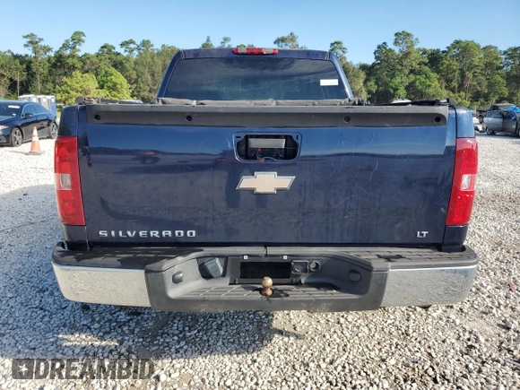 2009 Chevrolet Silverado 1500 LT with VIN 2GCEC23C491102403, listed as a Copart auction lot 74260974 with 161,318 mi miles and Salvage Title. Bid and sale history available at DreamBid. Image 6.