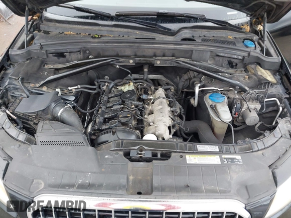 2013 Audi Q5 Premium Plus with VIN WA1LFAFP9DA101022, listed as a IAAI auction lot 42143862 with 229,056 mi miles and . Bid and sale history available at DreamBid. Image 10.