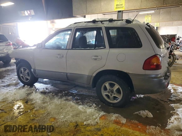 2004 Hyundai Santa Fe GLS with VIN KM8SC73E54U767532, listed as a Copart auction lot 41648395 with 125,439 mi miles and Salvage Title. Bid and sale history available at carsss.com. Image 2.