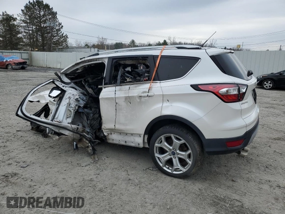 2017 Ford Escape Titanium with VIN 1FMCU9JD7HUC92043, listed as a Copart auction lot 52312455 with 0 mi miles and Non Repairable. Bid and sale history available at carsss.com. Image 2.