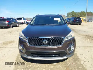 2016 Kia Sorento EX with VIN 5XYPH4A50GG043914, listed as a IAAI auction lot 41670153 with 113,121 mi miles. Bid and sale history available at carsss.com. Image 12.