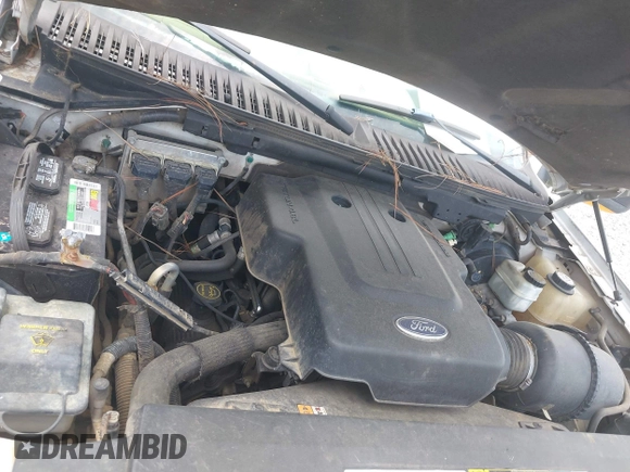 2004 Ford Expedition Eddie Bauer with VIN 1FMRU17W04LB61654, listed as a IAAI auction lot 42456262 with 305,787 mi miles and . Bid and sale history available at DreamBid. Image 10.