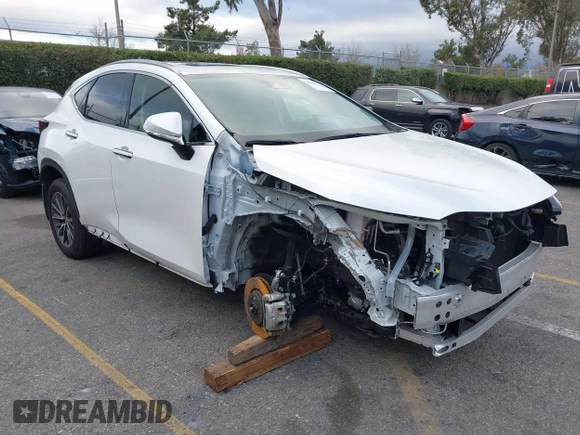 2024 Lexus NX 250 with VIN JTJADCAZ4R2013677, listed as a IAAI auction lot 41548654 with 24,564 mi miles and . Bid and sale history available at DreamBid. Image 1.