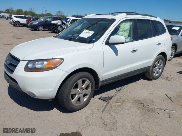 2009 Hyundai Santa Fe SE with VIN 5NMSH13E09H265061, listed as a IAAI auction lot 41851575 with 136,460 mi miles. Bid and sale history available at carsss.com. Image 2.