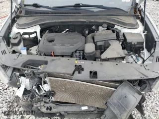2019 Hyundai Santa Fe SE with VIN 5NMS23AD6KH096824, listed as a Copart auction lot 80300854 with 120,181 mi miles and Non Repairable. Bid and sale history available at carsss.com. Image 12.