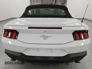 2024 Ford Mustang EcoBoost with VIN 1FAGP8UH4R5132564, listed as a Copart auction lot 53862275 with 22,324 mi miles and Clean Title. Bid and sale history available at carsss.com. Image 6.