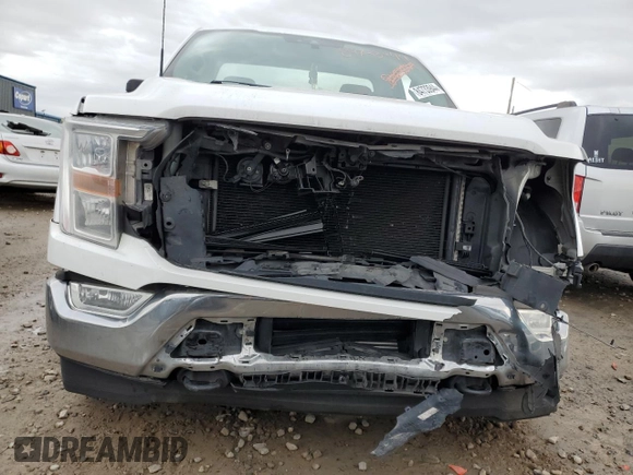 2021 Ford F-150 XL with VIN 1FTMF1EP8MKE68354, listed as a Copart auction lot 84733944 with 97,313 mi miles and Salvage title. Bid and sale history available at DreamBid. Image 5.