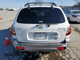 2002 Hyundai Santa Fe GLS with VIN KM8SC13DX2U329705, listed as a Copart auction lot 48986355 with 118,502 mi miles and Salvage Title. Bid and sale history available at carsss.com. Image 6.
