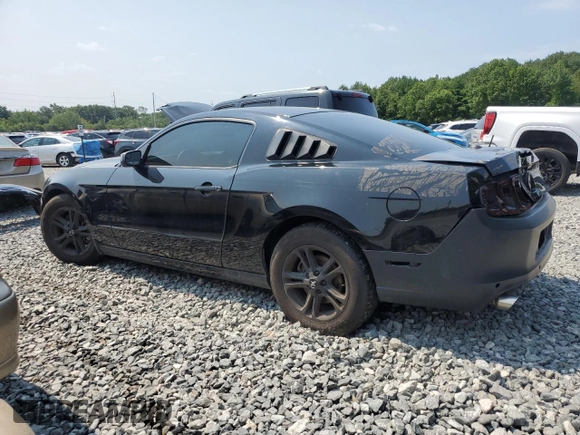2014 Ford Mustang V6 with VIN 1ZVBP8AMXE5202517, listed as a Copart auction lot 64499185 with 175,653 mi miles and Clean title. Bid and sale history available at DreamBid. Image 2.