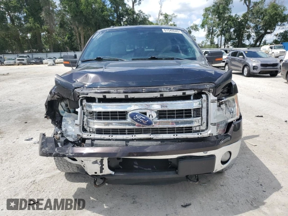 2013 Ford F-150 XL with VIN 1FTFW1EF1DFB70494, listed as a Copart auction lot 61549945 with 124,216 mi miles and Salvage title. Bid and sale history available at DreamBid. Image 5.