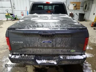 2016 Ford F-150 XLT with VIN 1FTFX1EF5GFD29647, listed as a Copart auction lot 87866955 with 0 mi miles and Salvage Title. Bid and sale history available at carsss.com. Image 6.