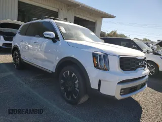 2024 Kia Telluride SX with VIN 5XYP54GC0RG552256, listed as a Copart auction lot 81033874 with Not provided miles and Salvage title. Bid and sale history available at DreamBid. Image 4.