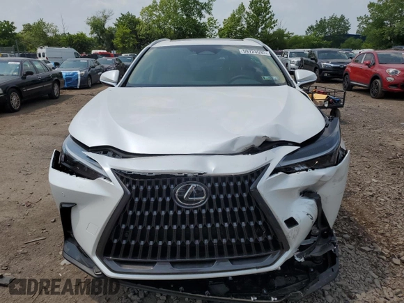 2025 Lexus NX 350 Premium with VIN 2T2GGCEZ4SC078868, listed as a Copart auction lot 59723595 with 1,311 mi miles and Salvage title. Bid and sale history available at DreamBid. Image 5.