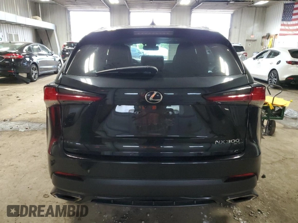 2019 Lexus NX 300 with VIN JTJBARBZ0K2210642, listed as a Copart auction lot 61143285 with 65,038 mi miles and Salvage title. Bid and sale history available at DreamBid. Image 6.