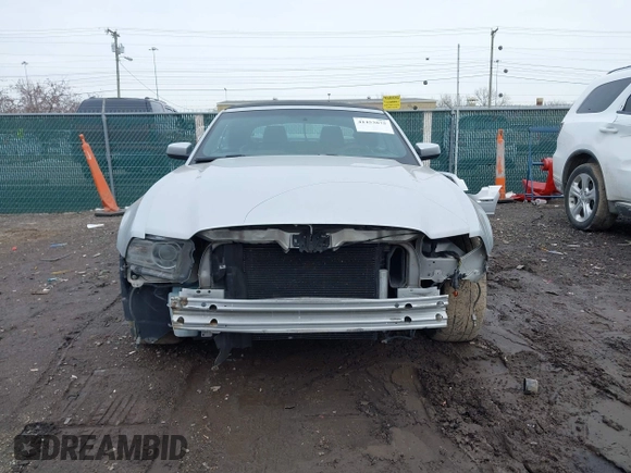 2013 Ford Mustang V6 with VIN 1ZVBP8EM3D5245234, listed as a IAAI auction lot 41453875 with 161,867 mi miles and . Bid and sale history available at DreamBid. Image 13.