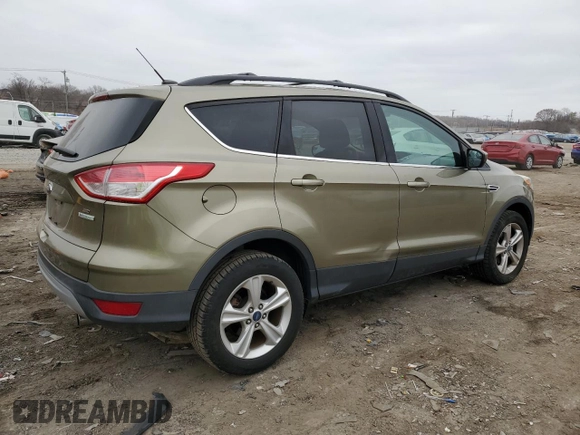 2013 Ford Escape SE with VIN 1FMCU0GX0DUC83899, listed as a Copart auction lot 48912205 with 102,476 mi miles and Salvage Title. Bid and sale history available at DreamBid. Image 3.
