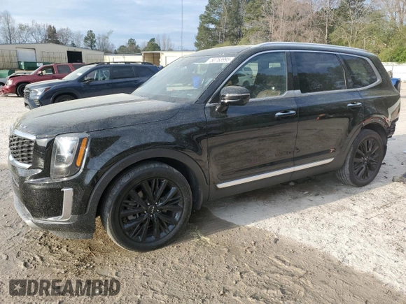 2022 Kia Telluride SX with VIN 5XYP5DHC9NG219577, listed as a Copart auction lot 50753995 with 53,699 mi miles and Salvage Title. Bid and sale history available at DreamBid. Image 1.