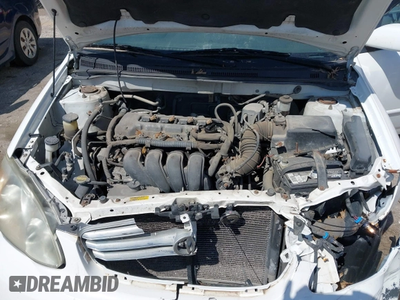 2003 Toyota Corolla CE with VIN 1NXBR32E23Z123753, listed as a IAAI auction lot 41979544 with 232,482 mi miles and . Bid and sale history available at DreamBid. Image 10.