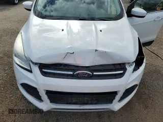 2013 Ford Escape SE with VIN 1FMCU0G92DUB03176, listed as a Copart auction lot 62180025 with 169,419 mi miles and Clean title. Bid and sale history available at DreamBid. Image 12.