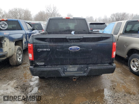 2015 Ford F-150 XLT with VIN 1FTEX1EP4FFC17263, listed as a Copart auction lot 46047445 with 120,574 mi miles and Salvage Title. Bid and sale history available at carsss.com. Image 6.