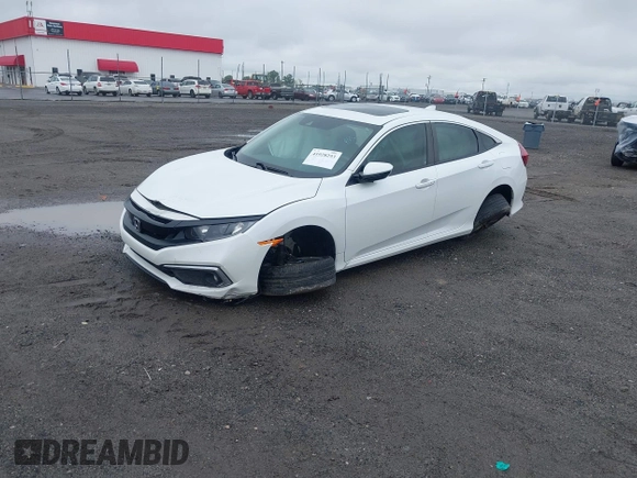 2020 Honda Civic Sedan EX-L with VIN 19XFC1F76LE004643, listed as a IAAI auction lot 41928293 with 31,251 mi miles. Bid and sale history available at carsss.com. Image 2.