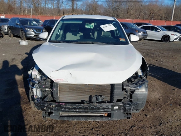2017 Hyundai Tucson SE with VIN KM8J23A47HU291596, listed as a IAAI auction lot 41289118 with 55,876 mi miles and . Bid and sale history available at DreamBid. Image 12.