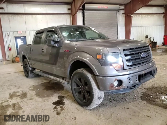 2014 Ford F-150 XL with VIN 1FTFW1ET3EFC87565, listed as a Copart auction lot 49617765 with 159,521 mi miles and Salvage Title. Bid and sale history available at carsss.com. Image 10.
